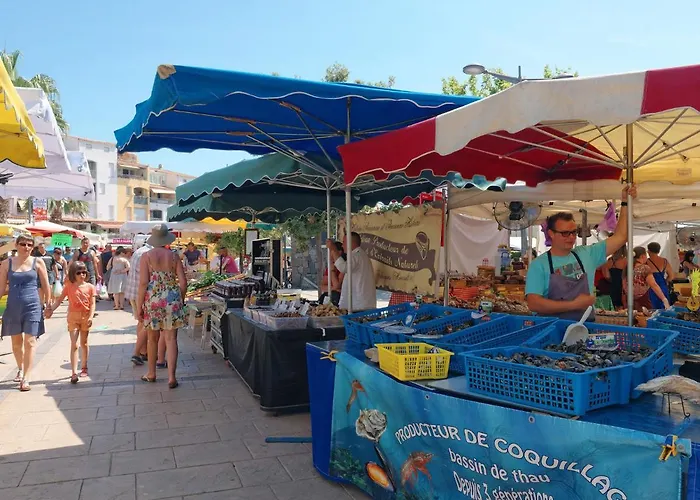 Hacienda Ii-4 By Interhome Feriehus Agde